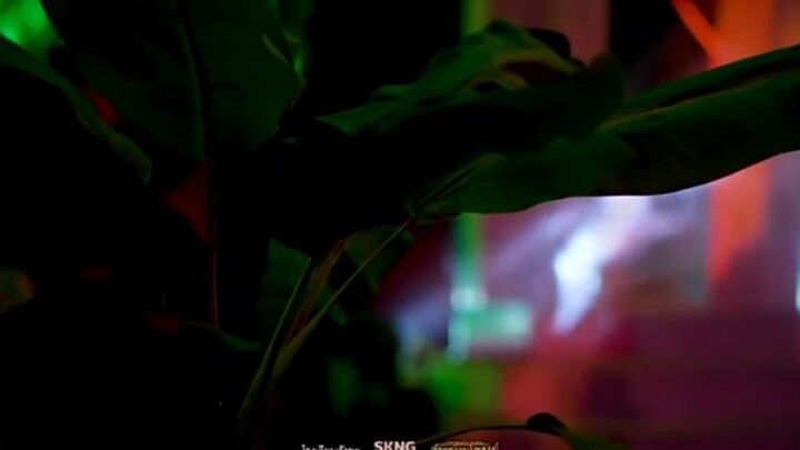 เพลง  ภพ  โรงเรียนสังขะ  จังหวัดสุรินทร์