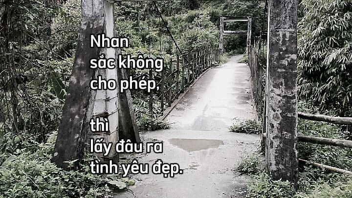 tại vậy ns mới ko quên đc ak
