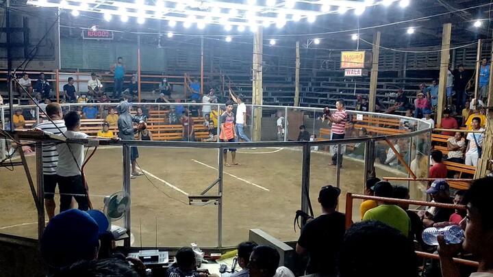 JRJ janggo backyard