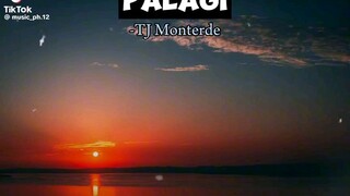 palagi