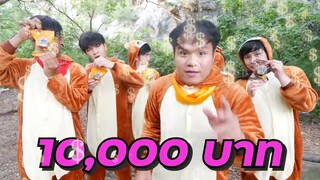 ป้องกันกล้วย 2 ตันจากฝูงลิงผู้หิวโซ