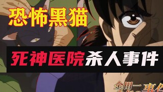 【金田一】真相让人汗毛直立，黑猫 活人试药 疯癫的婆婆，请不要独自观看「死神病院杀人事件」