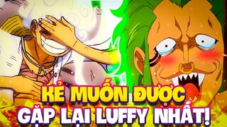 FAN CUỒNG GẶP LẠI LUFFY?! | NHỮNG KẺ MUỐN ĐƯỢC GẶP LẠI LUFFY NHẤT!