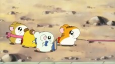 Hamtaro Episode 13 Let's Dance Sandy