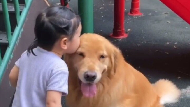 "Dogs are the most healing."