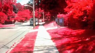 This color filter turns all green into red, it’s so beautiful