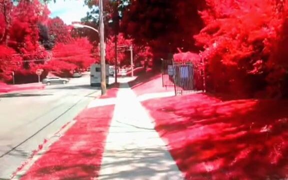 This color filter turns all green into red, it’s so beautiful