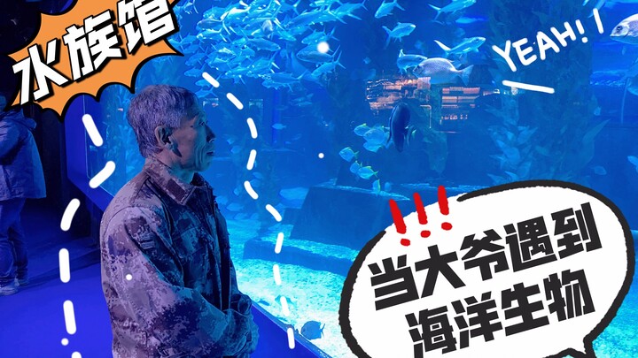 عندما التقى العم تشو لأول مرة عن قرب بـ "خنزير البحر"