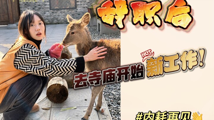 บอกฉันหน่อยสิว่าพวกคุณสามารถอยู่ที่แบบนี้ได้หลายวันเลยเหรอ…