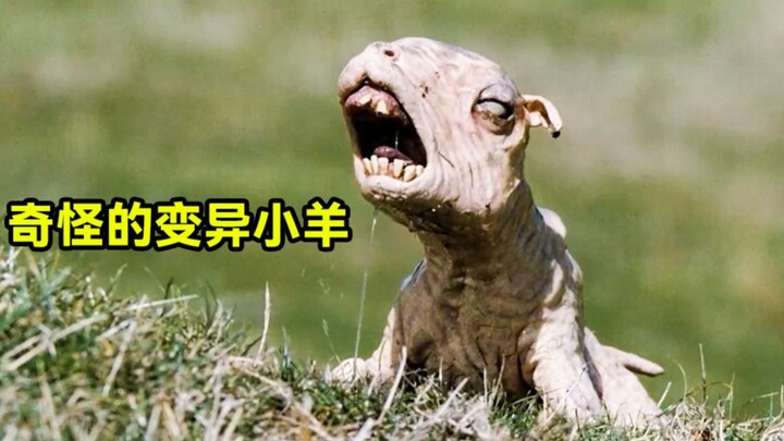 Người đàn ông bị con cừu đột biến cắn, chẳng ngờ lại biến thành quái vật