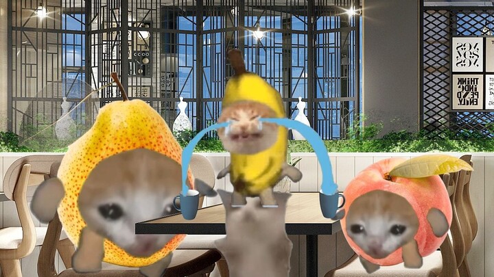 Cat opened a restaurant today, and Banana Cat is the best employee!