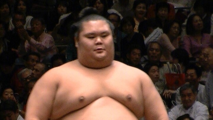 日本最可爱相扑 千代丸