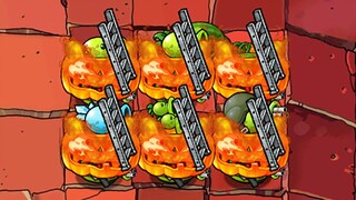 【ฉบับลูกผสม】ฟักทองบันได