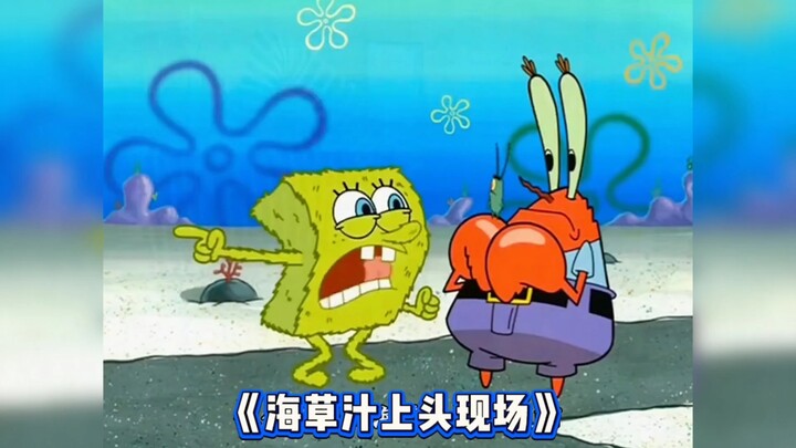 “SpongeBob SquarePants” – Nước ép rong biển