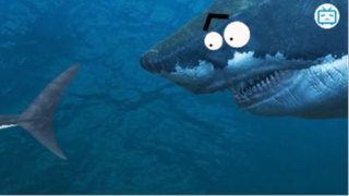 Lý Do Thật Sự Khiến Megalodon Tuyệt Chủng #kienthuc