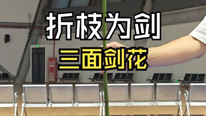 Beginner’s Guide/Tutorial for Absolute Beginners