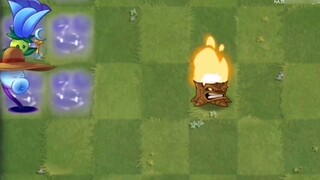 Various peas + fire tree = ???