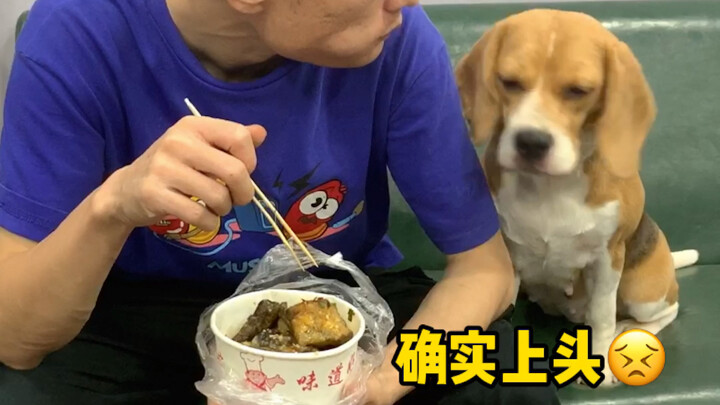 الازدراء الذي أتلقاه اليوم