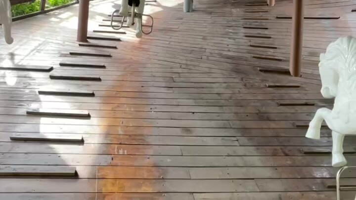 Bây giờ miền Nam đã phát triển đến mức này rồi sao?