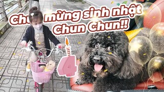 Chúc mừng sinh nhật Chun Chun cũng là ngày Cam biết đi xe đạp Vlog 209