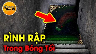 🔥 5 Thứ Bí Ẩn Và Đáng Sợ Đang Ẩn Náu Dưới Căn Hầm Cũ Mà Bạn Không Tin Là Chúng Tồn Tại