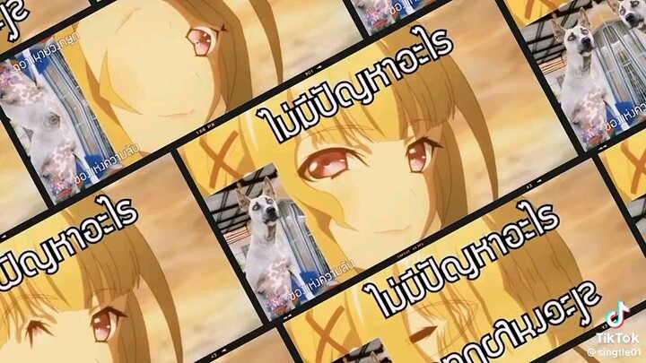 ไม่มีปัญหา