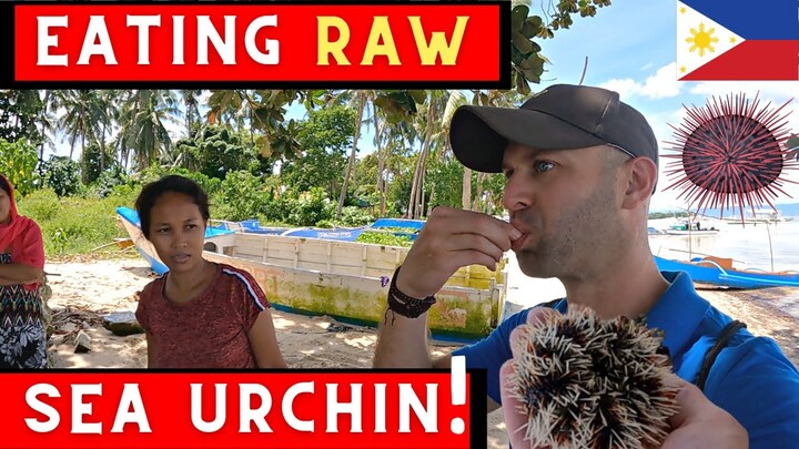 EATING RAW SEA URCHIN! | PHILIPPINES BOHOL 🇵🇭