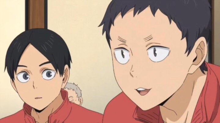 【هايكو كيوشين】فوكوناغا، القط المثير للدهشة بتعليقاته المذهلة!