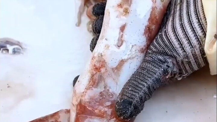 Squid: My vision went black.