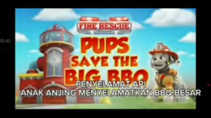 Paw Patrol Musim 11 Episode 18 Bahasa Indonesia