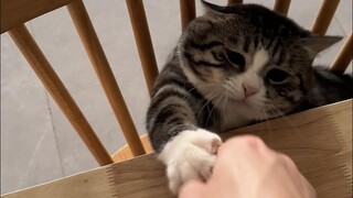 Khi bạn đột nhiên trải nghiệm được sức mạnh của một cuộc sống