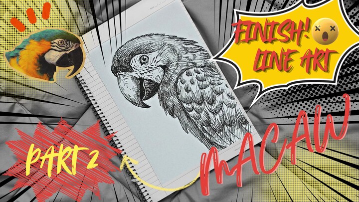 FINISH! Macaw Line Art Drawing | Part 2