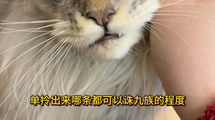 Khi tôi nuôi một đại ma vương