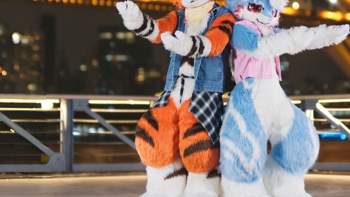 【Shubi & Ruiju】Lái xe đêm | Xua tan màn đêm - YOASOBI【Vũ điệu Fursuit】Đặc biệt ngày lễ tình nhân