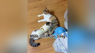 Lại mất TT rùi 🙀🙀cat mèo