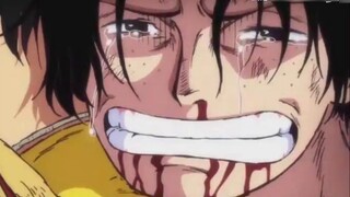 Did Zoro's token on Judicial Island make a great contribution? Ambition finally saw a surge in reven