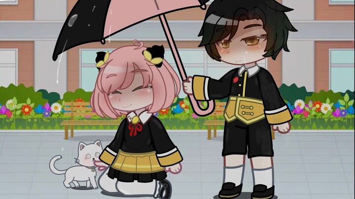 anya x damian: damian lương quá🤭