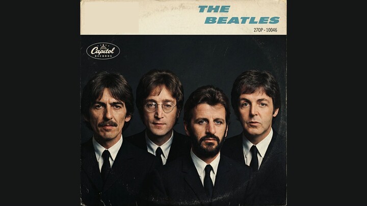 ® Beetles - “Evelyn"