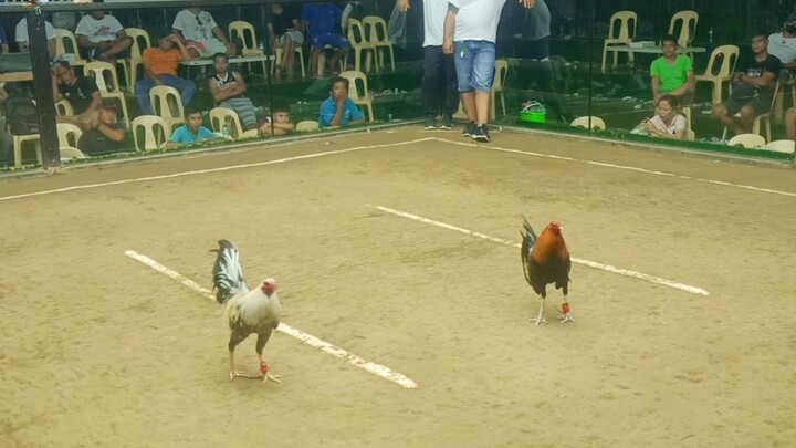 unang sabak sa derby win Po Tayo dyn unscathed sweaterkelso