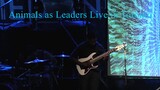 Animals as Leaders Live in Toronto - FULL CONCERT