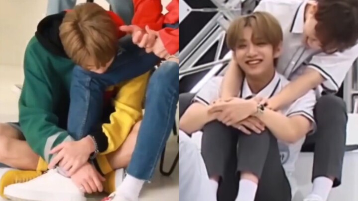 【หลี่จื้อ】ถูกกฎหมายก็คือดีต่อใจ