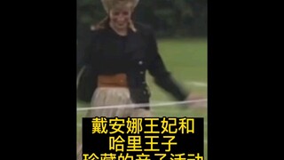 Công nương Diana từng tham dự một sự kiện tại trường của Harry vào Ngày của Mẹ và nhất quyết muốn th