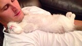 Snuggle,cuddle time, best time ever!! -  Cute Cats And Their Owners Sleep Together