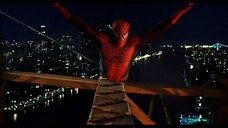 SPIDER-MAN [2002]