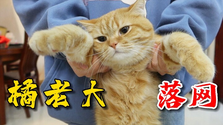 ตอนจบของ “เหมียวคลั่ง” ศาลนัดพิจารณาคดีหัวหน้าแก๊งส้ม!