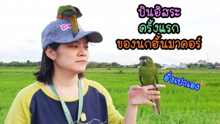 เฟิร์ส ปล่อยบินอิสระ (อั่งเปา) EP.19