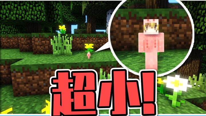 Khi nhân vật Minecraft trở nên siêu nhỏ! Siêu bá đạo!
