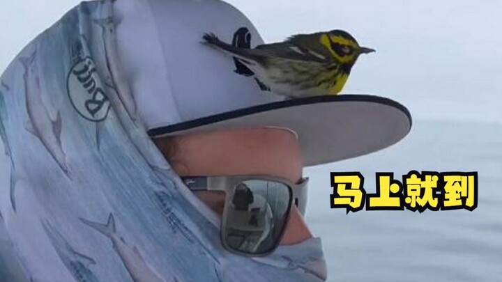 Don't be afraid, my friend—I'll take you home!