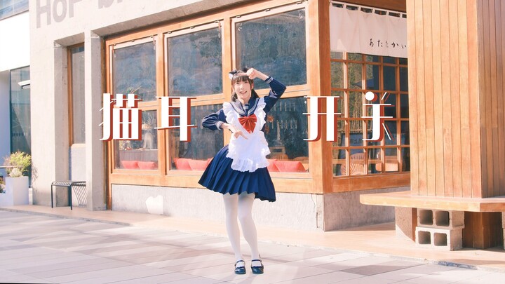 【Đặc sản 520】≽^ ⦁ ⩊ ⦁ ^≼ Những bài hát tiết lộ tuổi tác meo~ฅCông tắc tai mèoฅ