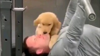 Try to prove to me that your pet is clingy, but don't say it.